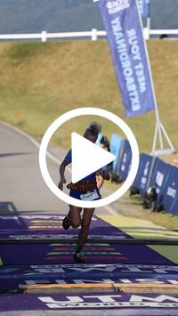 BIB:  <button type="button" onclick="openModal(27393562)" class="btn btn-primary btn-sm float-right" data-toggle="modal" data-target=".modal-high-quality">
                <i class="fa fa-download"></i> Download
                </button>